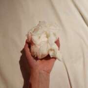 ヒメ日記 2026/04/14 12:15 投稿 じゅん 奥鉄オクテツ大阪