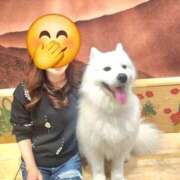 ヒメ日記 2026/04/15 20:10 投稿 じゅん 奥鉄オクテツ大阪