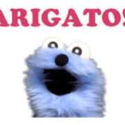 ヒメ日記 2026/03/07 20:18 投稿 くるみ 福岡大野城・板付インターちゃんこ