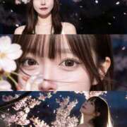 ヒメ日記 2026/03/15 00:32 投稿 LOU さくらん東京