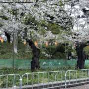 ヒメ日記 2026/04/05 20:39 投稿 りんな 千葉ミセスアロマ（ユメオト）