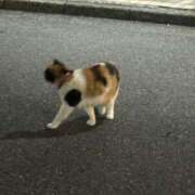 ヒメ日記 2026/04/25 18:53 投稿 りんな 千葉ミセスアロマ（ユメオト）