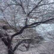 ヒメ日記 2026/03/30 22:52 投稿 りのん べっぴんコレクション