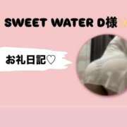 ヒメ日記 2026/03/29 14:49 投稿 ゆめ 香川高松ちゃんこ