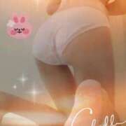 ヒメ日記 2026/03/31 11:42 投稿 みゆ 熟女総本店