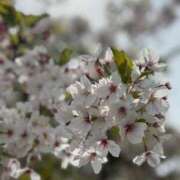 ヒメ日記 2026/04/09 19:04 投稿 高橋 ひとみ 熟女・人妻マダム宮殿