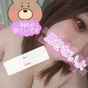 ヒメ日記 2026/03/14 09:39 投稿 みい ちゃんこ大阪