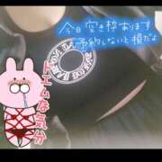 ヒメ日記 2026/09/09 10:03 投稿 みい ちゃんこ大阪