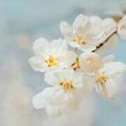 ヒメ日記 2026/03/13 16:44 投稿 玲香(れいか) グランドオペラ横浜