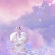 ヒメ日記 2026/03/14 02:41 投稿 玲香(れいか) グランドオペラ横浜