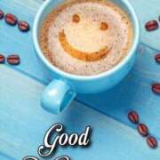 月咲ひなた 🩵GM🐓 コウテイ