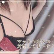 ヒメ日記 2026/05/16 16:09 投稿 道枝　ちせり エテルナ京都