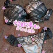 よしな 出勤してるよ！ 艶熟妻 京都店