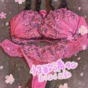 ヒメ日記 2026/03/14 17:45 投稿 よしな 艶熟妻 京都店