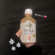 ヒメ日記 2026/03/13 21:16 投稿 ここな ぷるるん小町梅田店