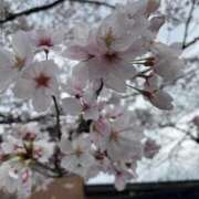 ヒメ日記 2026/03/31 12:18 投稿 あや 人妻熟女の秘密の関係伊勢崎店