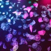 もあ 日常回 池袋人妻ヒットパレード（シンデレラグループ）