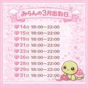 ヒメ日記 2026/03/12 23:40 投稿 みらん あふたーすくーる本店