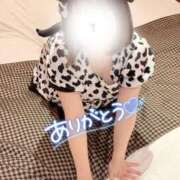 ヒメ日記 2026/09/17 00:31 投稿 ☆ねる(24)☆ロリ巨乳 ◆プラウディア◆AAA級素人娘在籍店