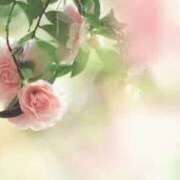 ヒメ日記 2026/03/21 18:06 投稿 音葉(おとは) グランドオペラ横浜