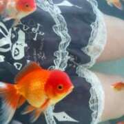 ヒメ日記 2026/03/30 12:46 投稿 ひめか 町田デブ専肉だんご