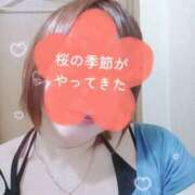 ヒメ日記 2026/04/08 14:26 投稿 ひめか 町田デブ専肉だんご