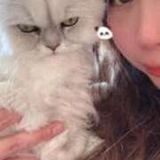 ヒメ日記 2026/03/15 02:03 投稿 まりな 兵庫姫路・加古川ちゃんこ