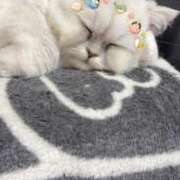 ヒメ日記 2026/03/29 01:54 投稿 まりな 兵庫姫路・加古川ちゃんこ