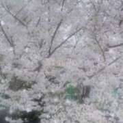 ヒメ日記 2026/03/31 17:37 投稿 まりな 兵庫姫路・加古川ちゃんこ