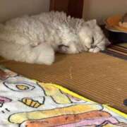 ヒメ日記 2026/05/10 03:10 投稿 まりな 兵庫姫路・加古川ちゃんこ
