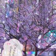 ヒメ日記 2026/03/20 09:27 投稿 ふうか 池袋人妻城