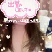 ヒメ日記 2026/04/04 14:33 投稿 ふうか 池袋人妻城