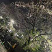 ヒメ日記 2026/04/05 22:18 投稿 ふうか 池袋人妻城