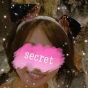 ヒメ日記 2026/04/14 11:03 投稿 ふうか 池袋人妻城