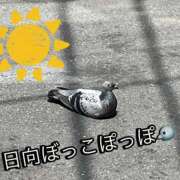 ヒメ日記 2026/05/02 15:03 投稿 ふうか 池袋人妻城