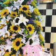 ヒメ日記 2026/06/14 21:33 投稿 ふうか 池袋人妻城