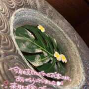 ヒメ日記 2026/06/30 14:18 投稿 ふうか 池袋人妻城