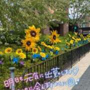 ヒメ日記 2026/07/27 22:55 投稿 ふうか 池袋人妻城