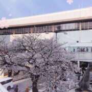 ヒメ日記 2026/03/28 21:36 投稿 きょうか 西川口おかあさん