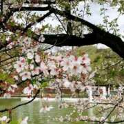 ヒメ日記 2026/04/04 22:08 投稿 きょうか 西川口おかあさん