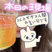 ヒメ日記 2026/08/08 18:50 投稿 ゆずりは クラブレア南大阪