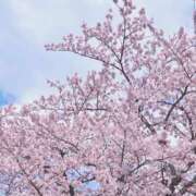 ヒメ日記 2026/04/05 18:57 投稿 水橋 BBW横浜店