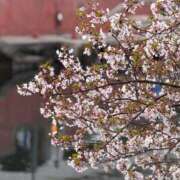 ヒメ日記 2026/04/12 22:16 投稿 水橋 BBW横浜店