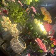 ヒメ日記 2026/04/07 10:04 投稿 栞里 出会い系人妻ネットワーク 新宿〜池袋編