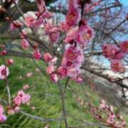 ヒメ日記 2026/04/05 21:33 投稿 西野 まりな Canx2 谷九日本橋店