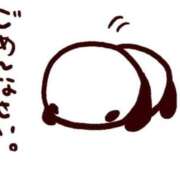 とうか☆フェラ＆キスで骨抜き 😢ごめんなさい😢 じゃむじゃむ