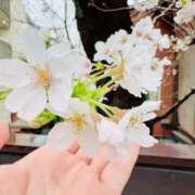 ヒメ日記 2026/03/23 13:00 投稿 森本さな 月の真珠-五反田-