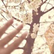 ヒメ日記 2026/03/25 22:56 投稿 森本さな 月の真珠-五反田-