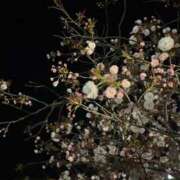 長瀬ひめな 今日も^⁃ ⩊ ⁃₊⁺ 断りきれない美人マッサージ嬢たち