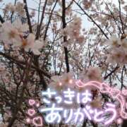 ヒメ日記 2026/04/03 16:35 投稿 【人妻】みほ a．bitch α